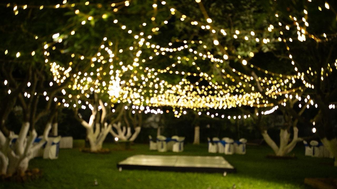 Perfect photoshoot location at Under The Mango Trees